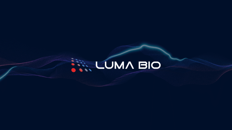 branding for design conscious brands